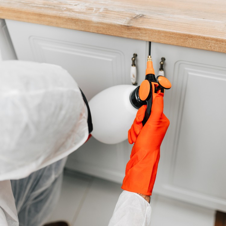 Pest Control Services in Jefferson City, MO