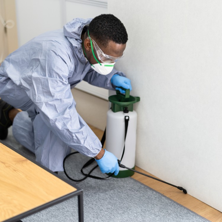 Pest Control Services in Jefferson City, MO