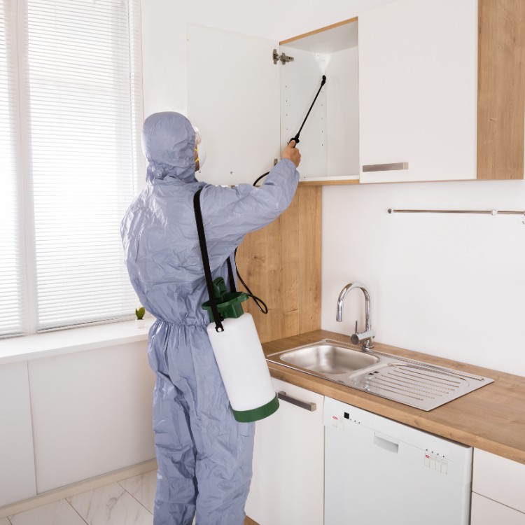 Pest Control Services in Jefferson City, MO