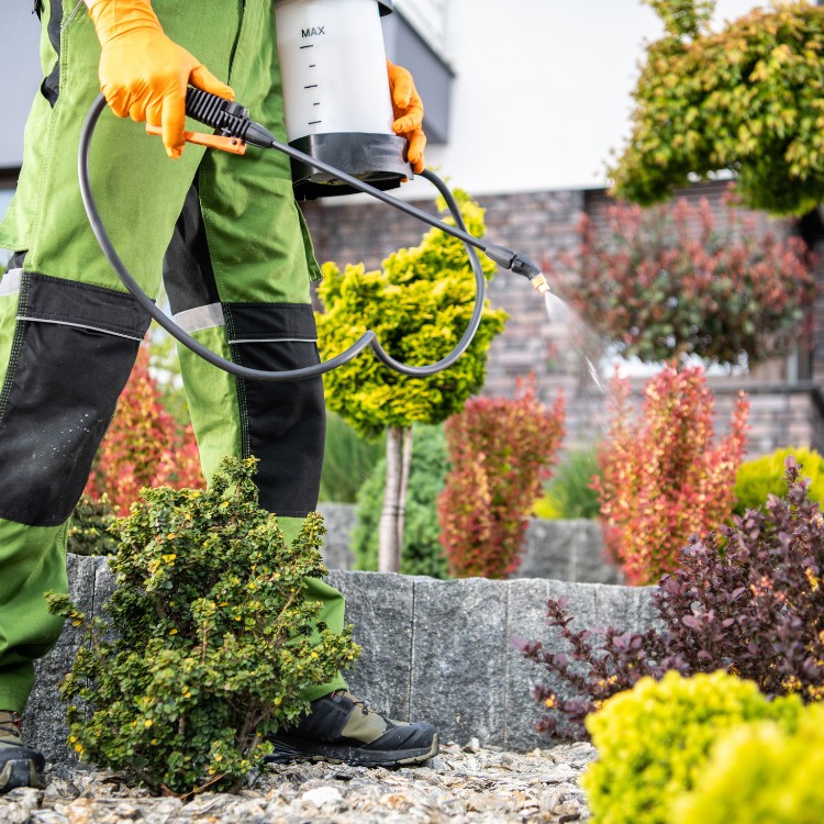 Pest Control Services in Jefferson City, MO