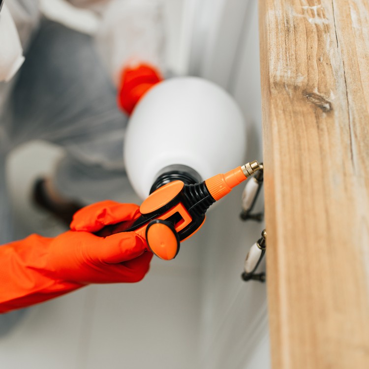 Pest Control Services in Jefferson City, MO