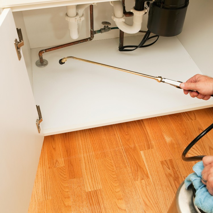 Pest Control Services in Jefferson City, MO