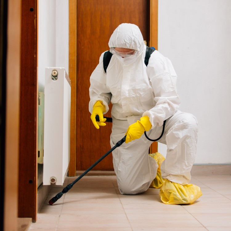 Pest Control Services in Jefferson City, MO