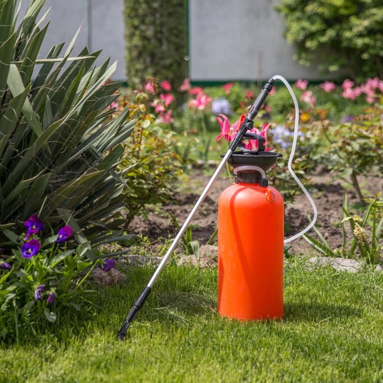 Pest Control Services in Jefferson City, MO